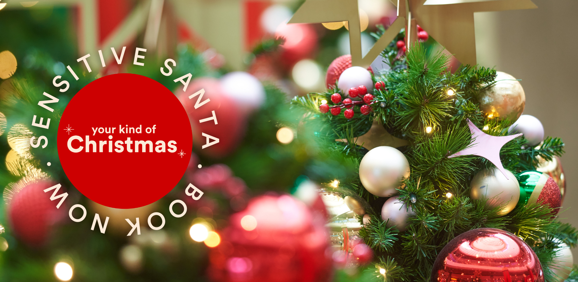 Tweed City Sensitive Santa.png